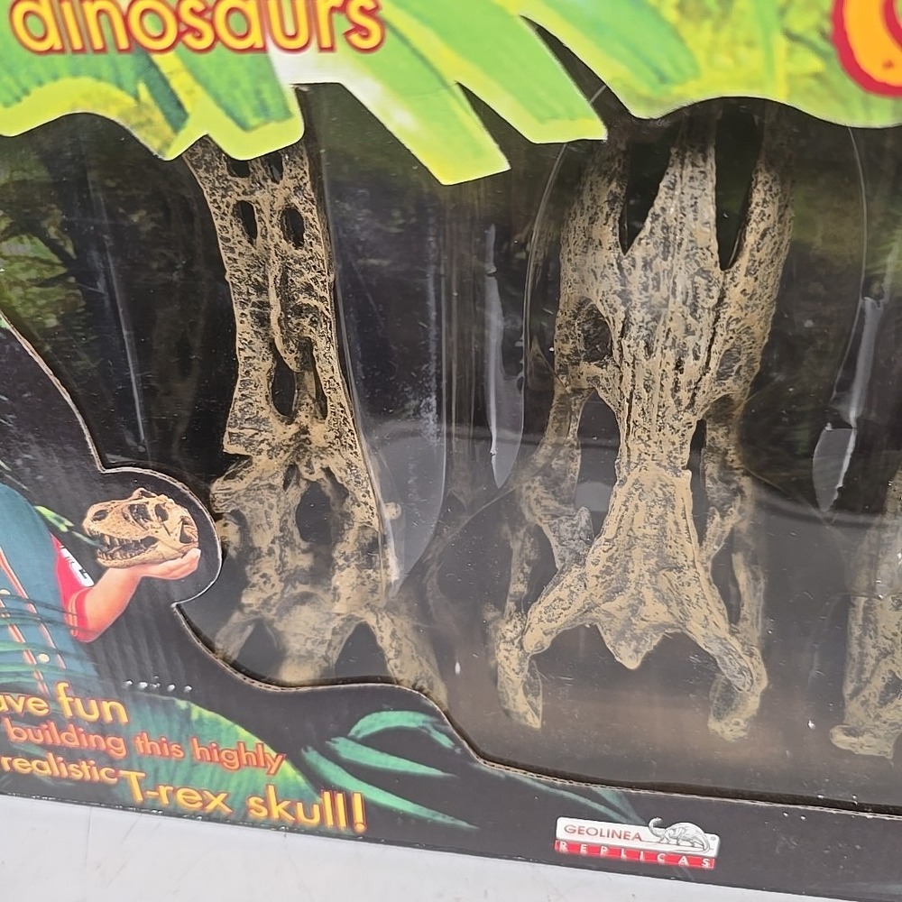 Geolinea Fossil Replicas T-Rex Dinosaur Skull High‎ Definition 1:10 Replica - Picture 4 of 13